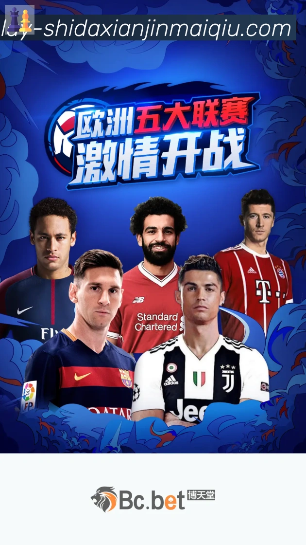 奖项证书